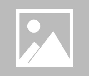 J9-关于Scout关键节点精彩发挥，FPX带队取胜！的信息